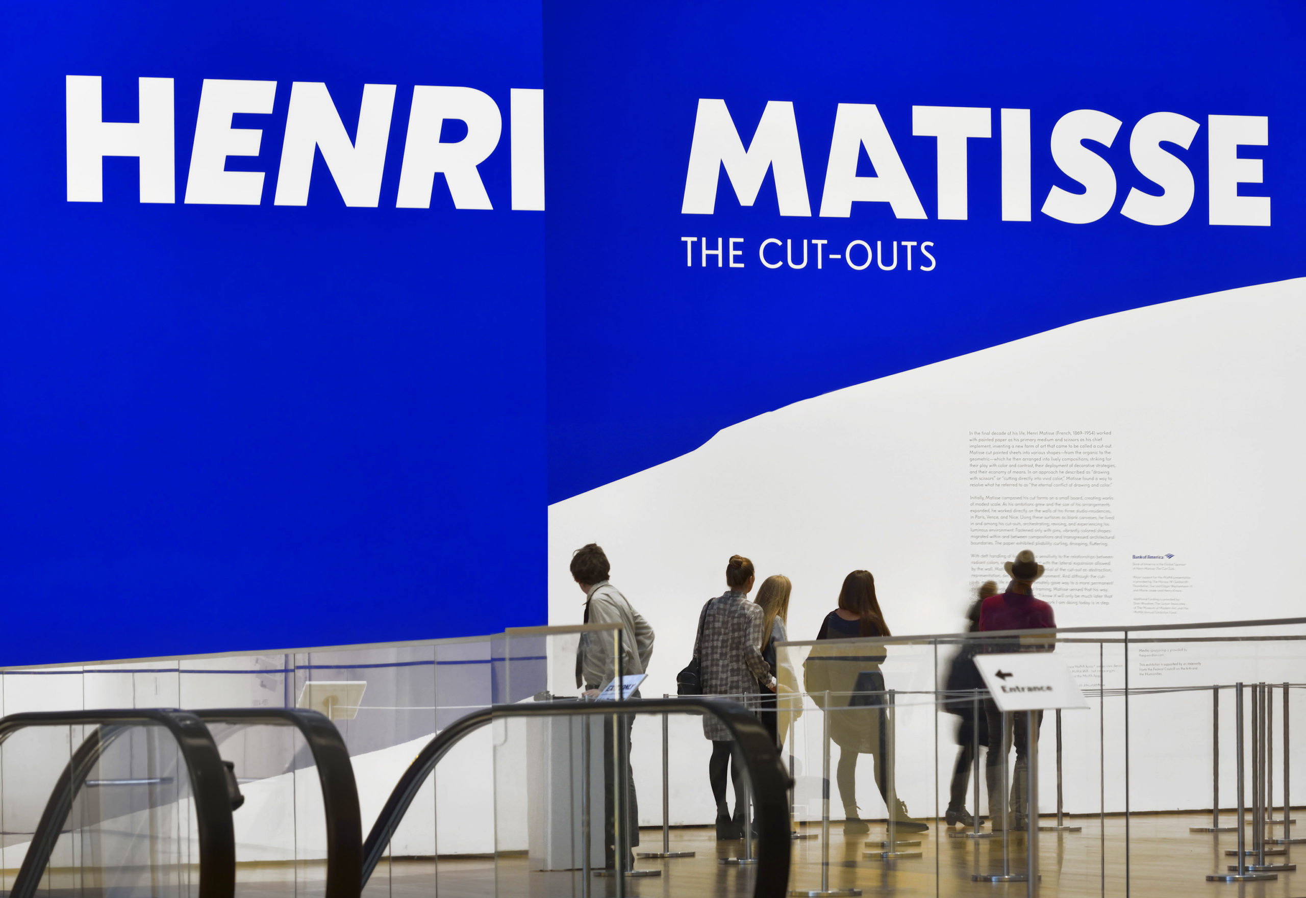 Matisse Cut-outs - Mike Abbink